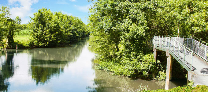 Visite en canoë du parc naturel régional du marais poitevin