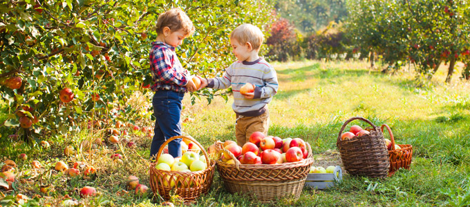 vacances à la ferme